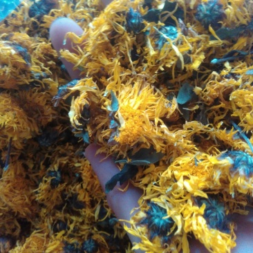 菊花茶四级
