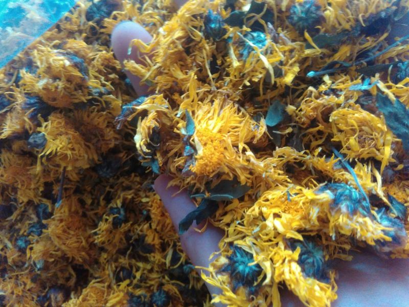 菊花茶四级