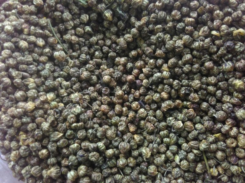 菊花茶特级