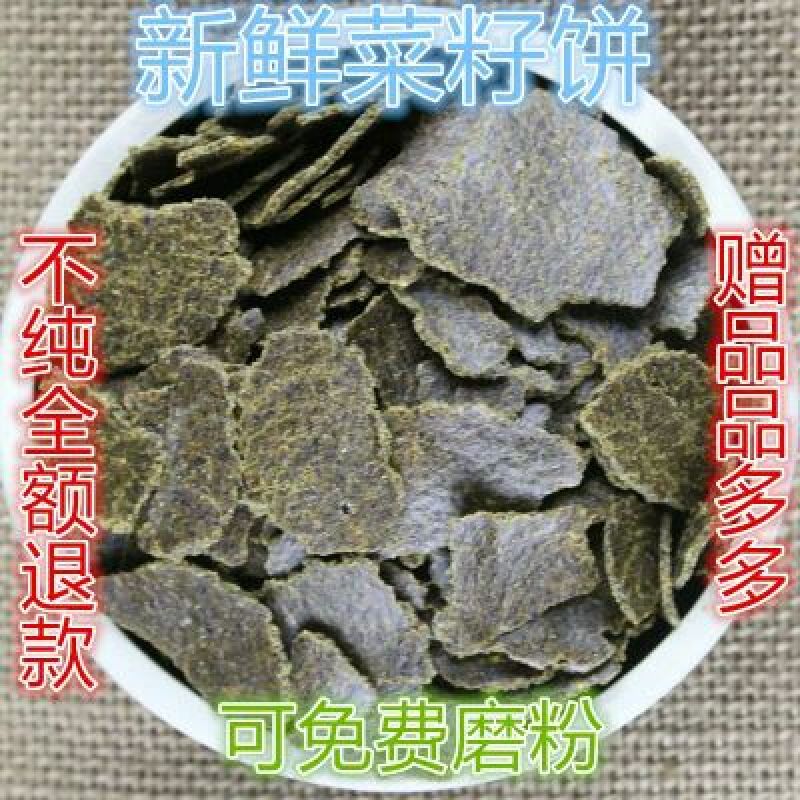 菜籽饼加工利用