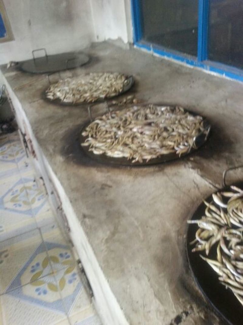 火焙鱼稻谷香味