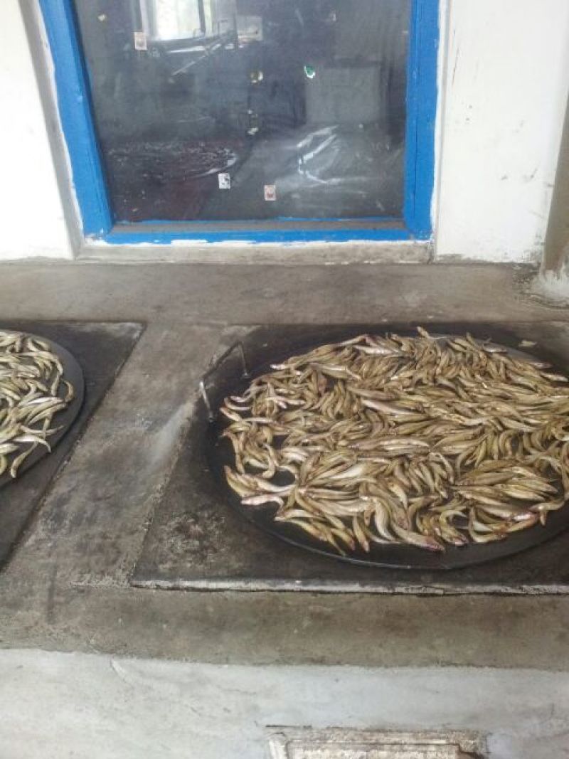 火焙鱼稻谷香味