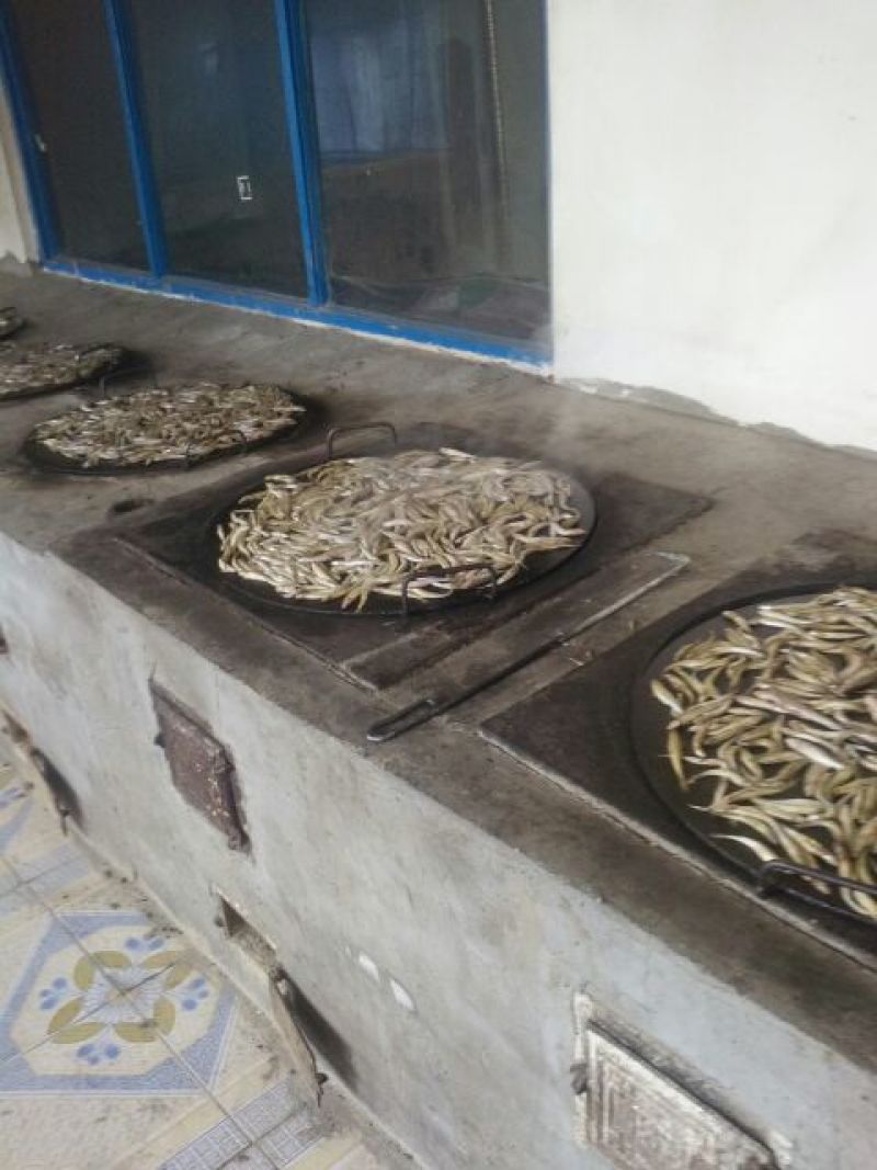 火焙鱼稻谷香味