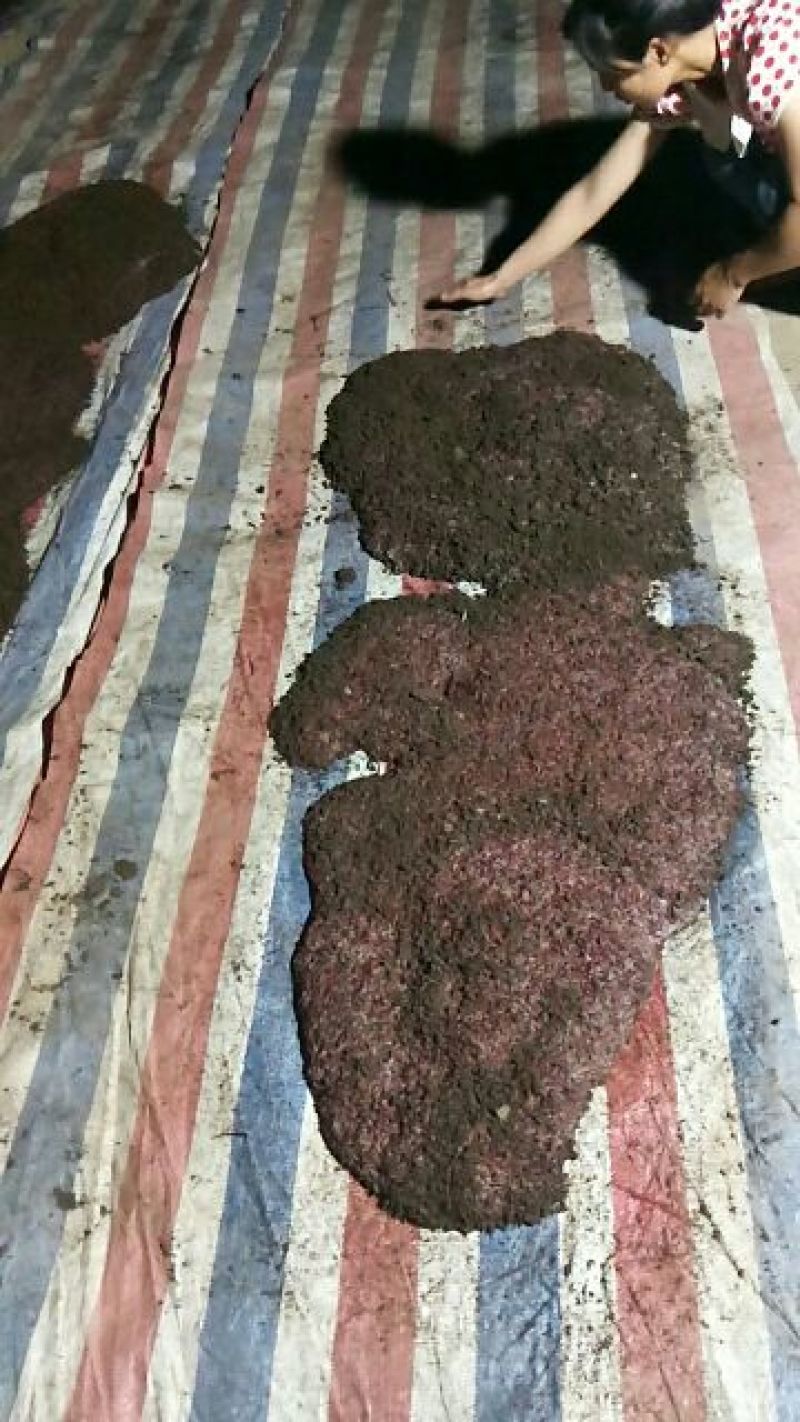 蚯蚓作种