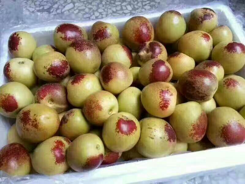 大荔冬枣直口