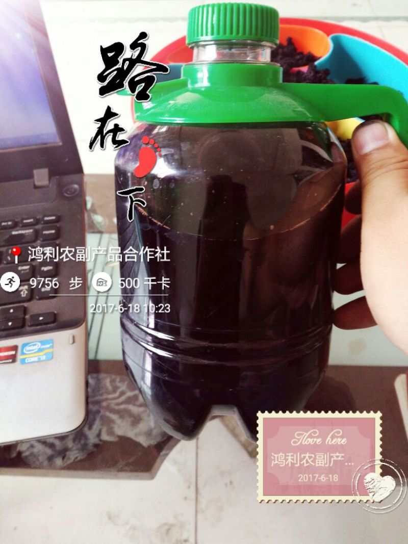 果醋桑果醋3瓶100元包邮