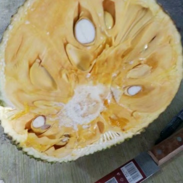 越南红肉菠萝蜜20斤以上，甜过初恋，自家厂，产地直发