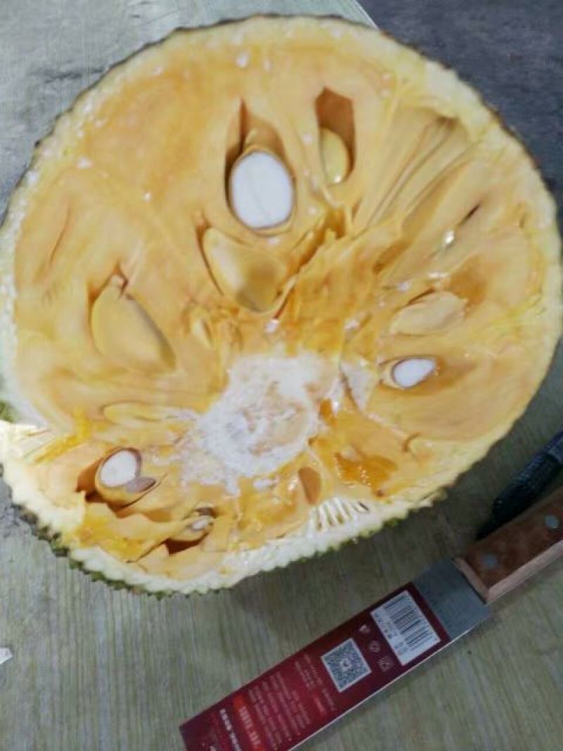 越南红肉菠萝蜜20斤以上，甜过初恋，自家厂，产地直发