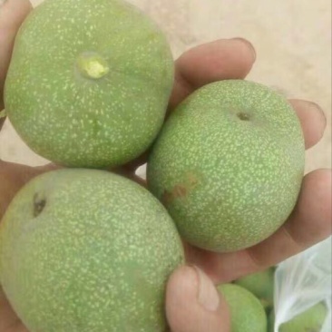 核桃