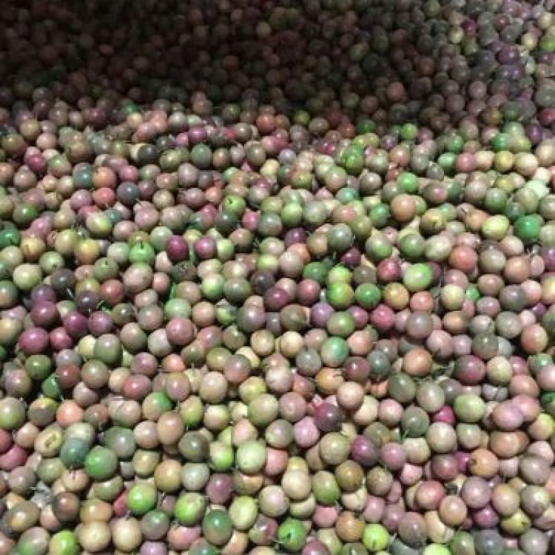 百香果80~90g紫果