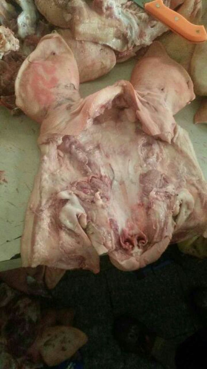 猪头肉散装