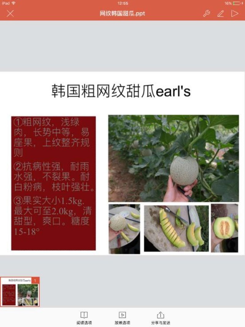 薄皮厚皮甜瓜种子，甘蓝种子