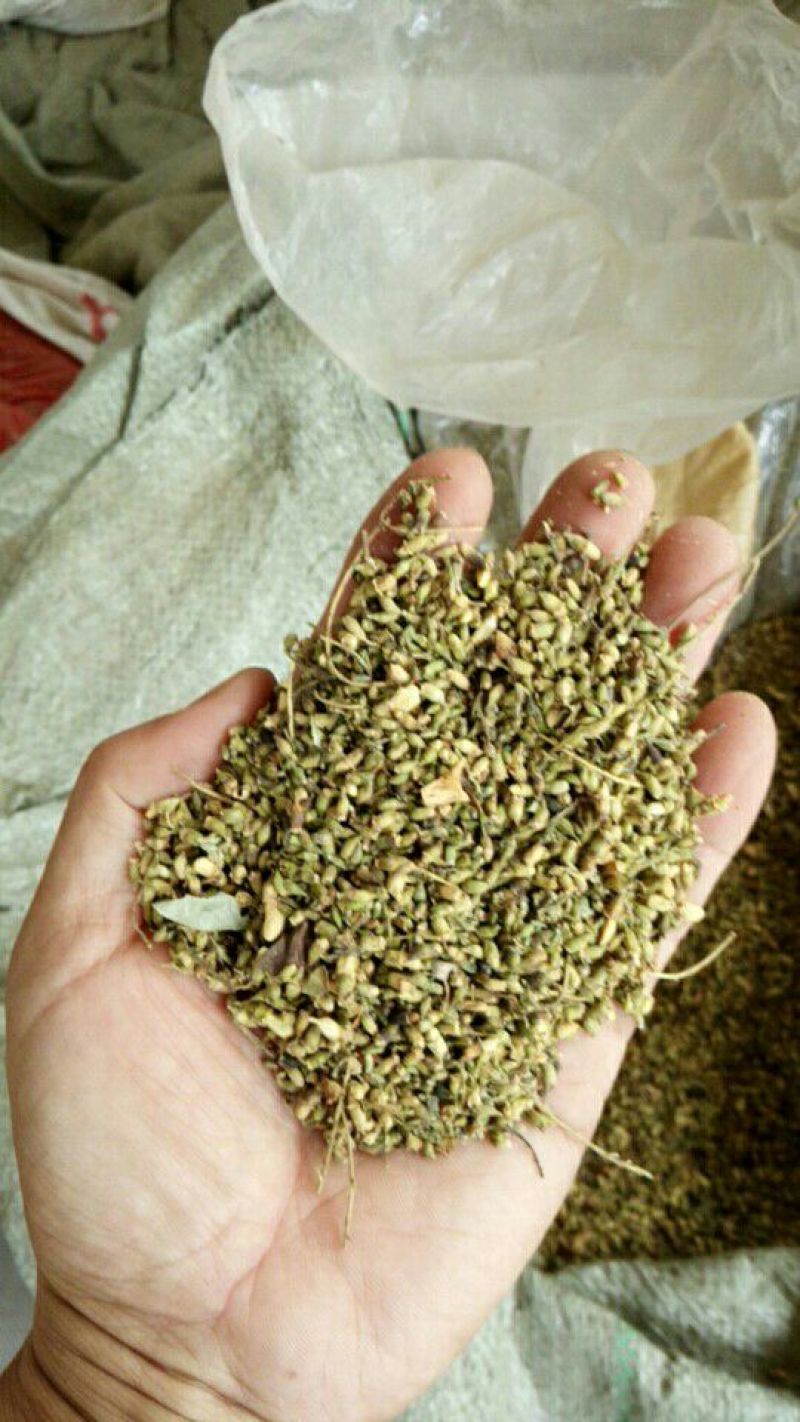 槐米花蕾统河南野生支持线上保障交易可视频看货