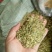 槐米花蕾统河南野生支持线上保障交易可视频看货