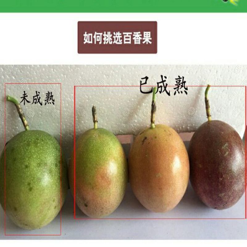 百香果80~90g紫果