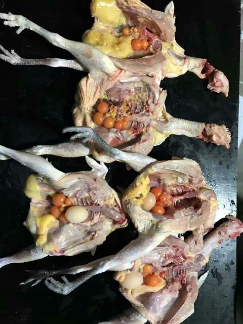 鸡肉包装