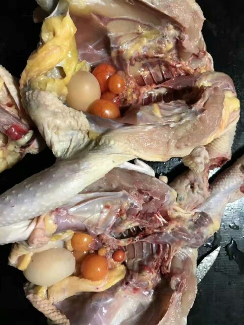 鸡肉包装
