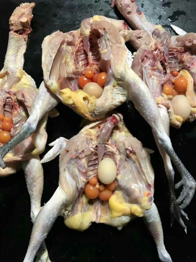鸡肉包装