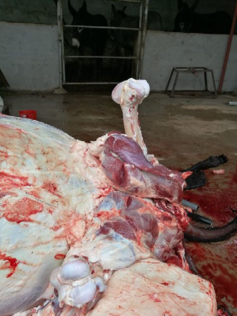驴肉鲜货