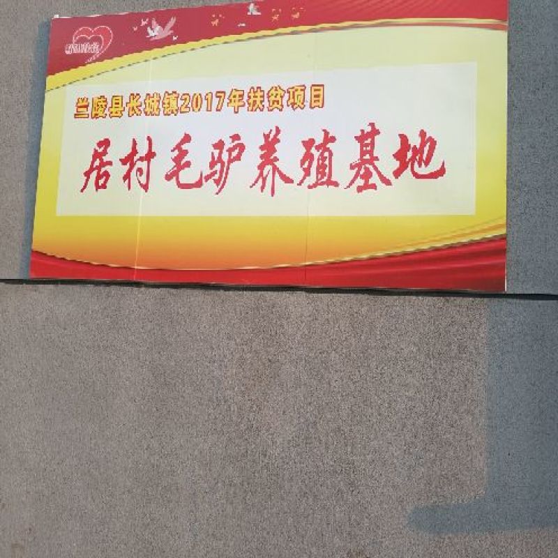 驴肉鲜货