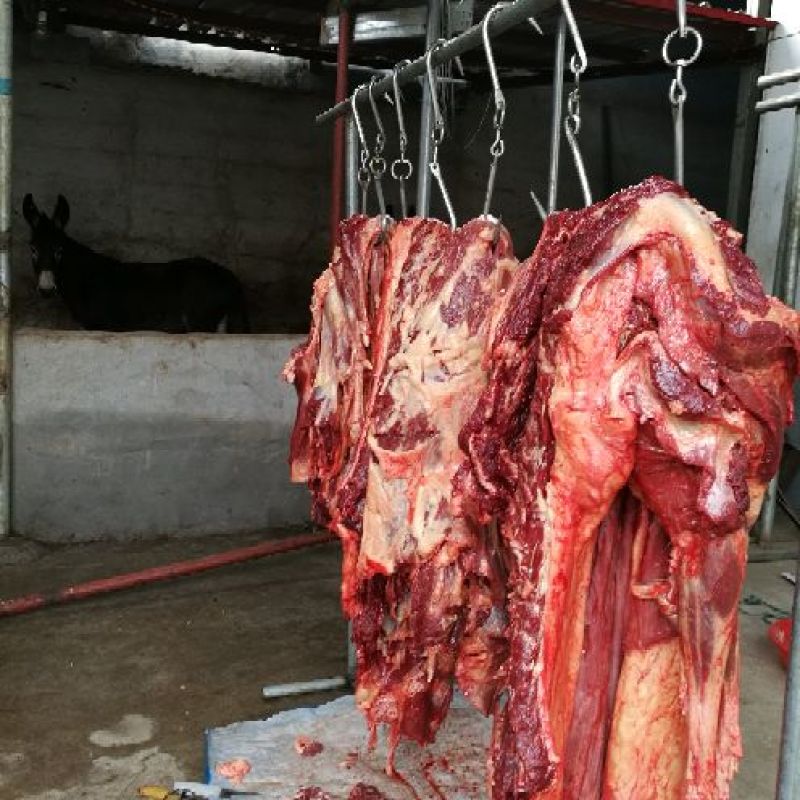 驴肉鲜货