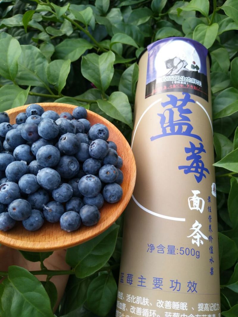 蓝莓鲜果8~10mm以上