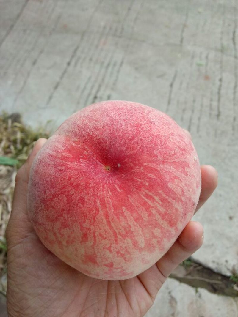 水蜜桃70mm以上