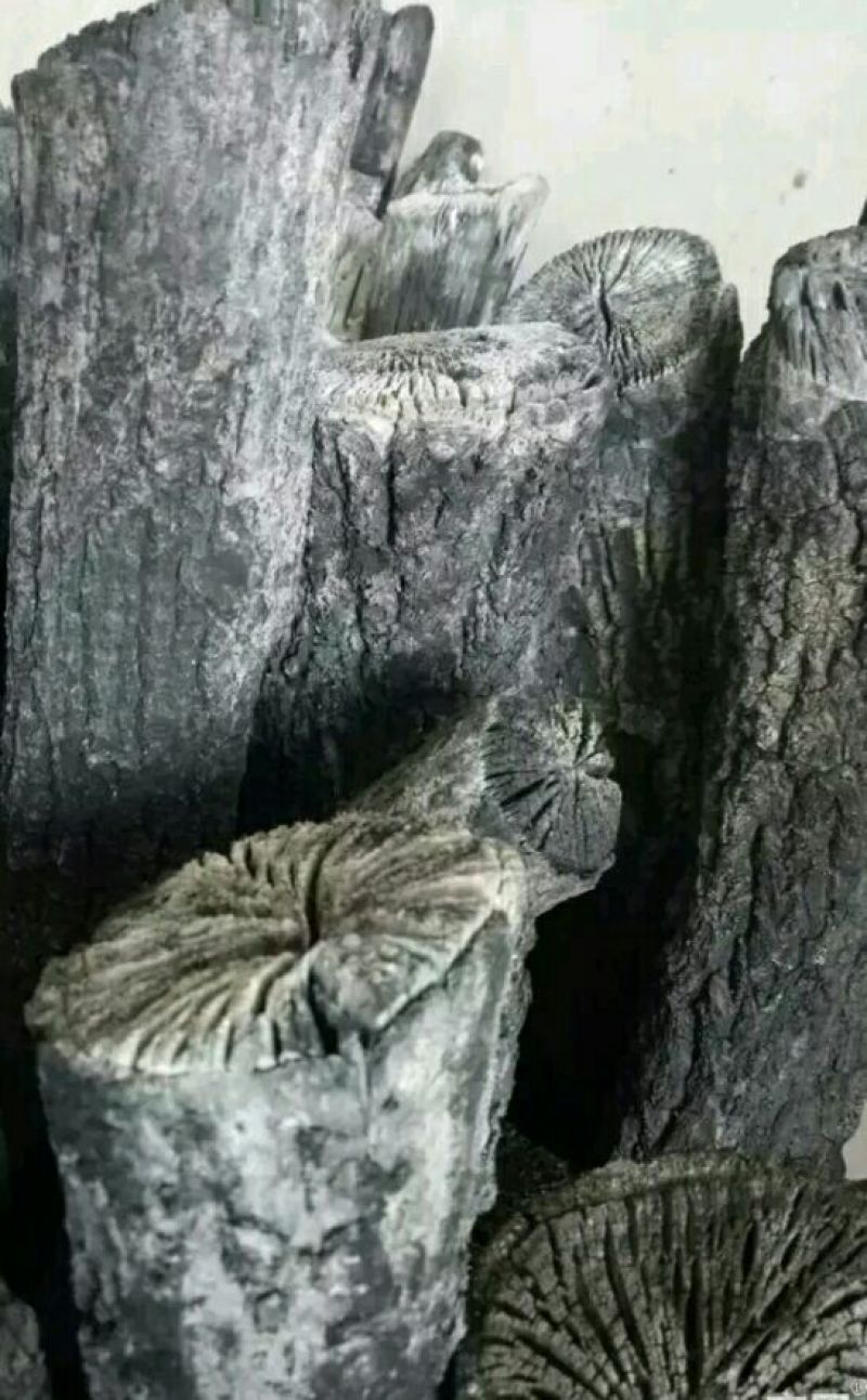 木炭95%以上烧烤炭