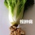 白菜种子
