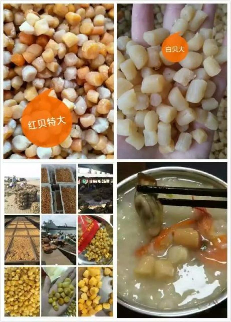 干瑶柱