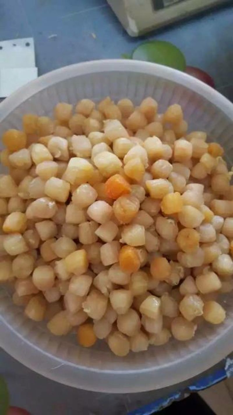 干瑶柱