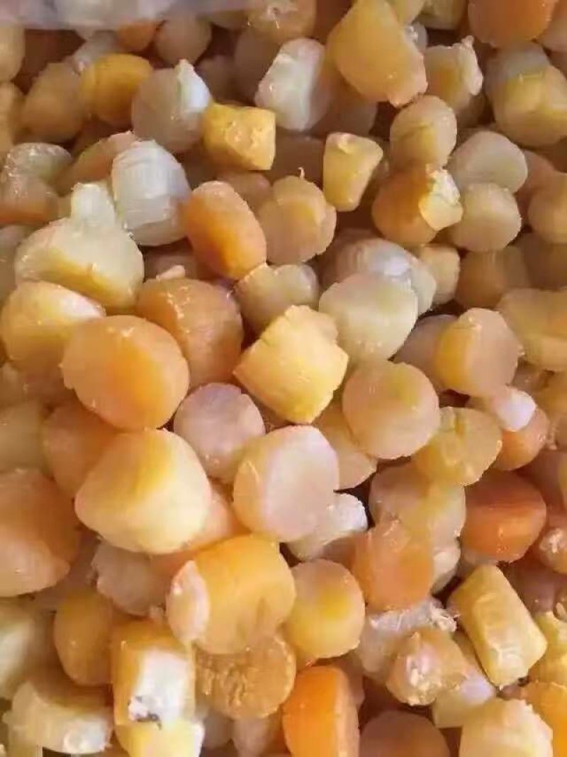 干瑶柱
