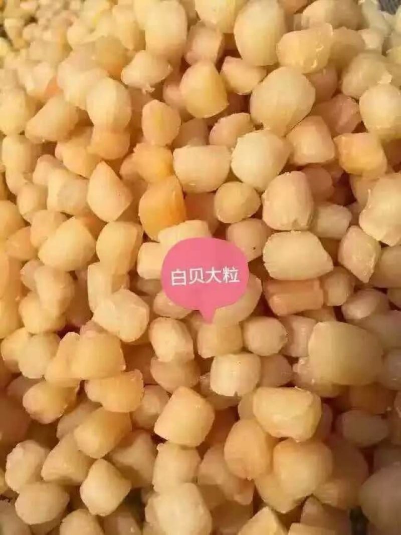 干瑶柱