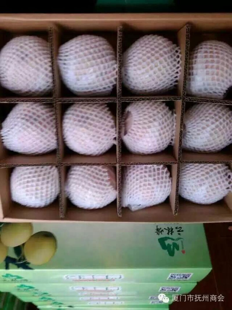 翠冠梨200~250g纸袋