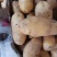 大量荷兰十五土豆上市中。光色鲜艳个大，品质优