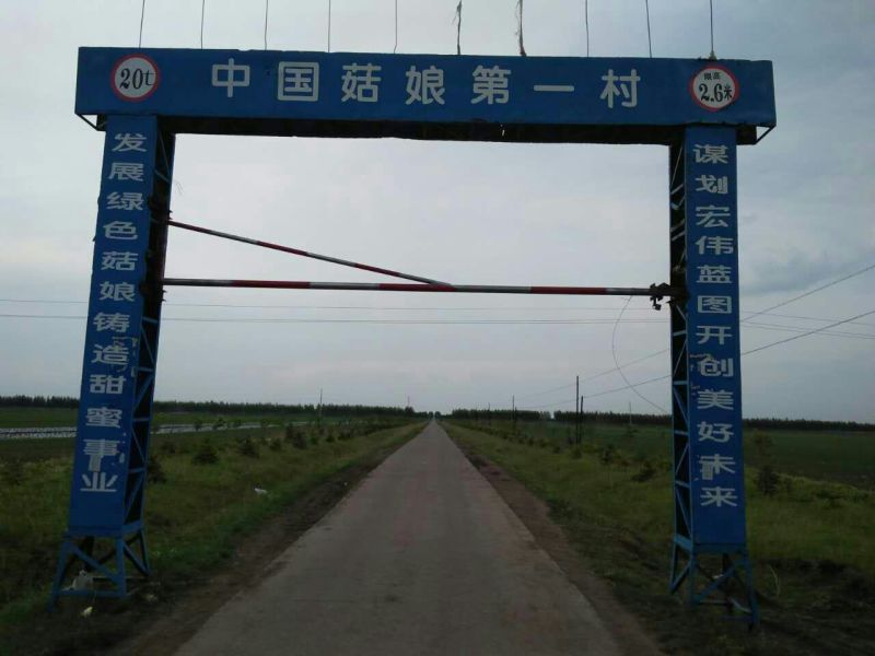 东北特产黄菇娘，菇茑灯笼果，七月未上市，可以代收代发，