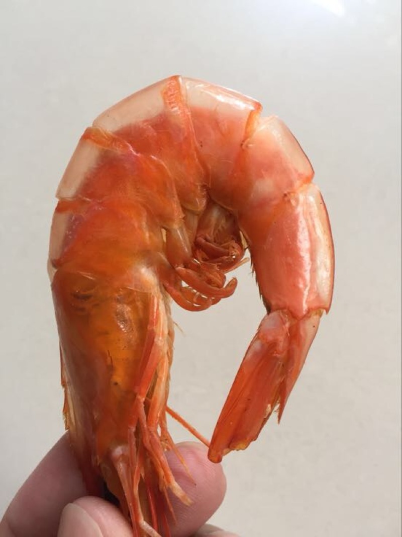 对虾干
