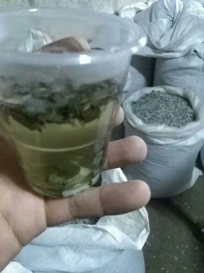 藤茶优质保健养生藤茶莓茶