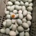 鲜鸭蛋食用