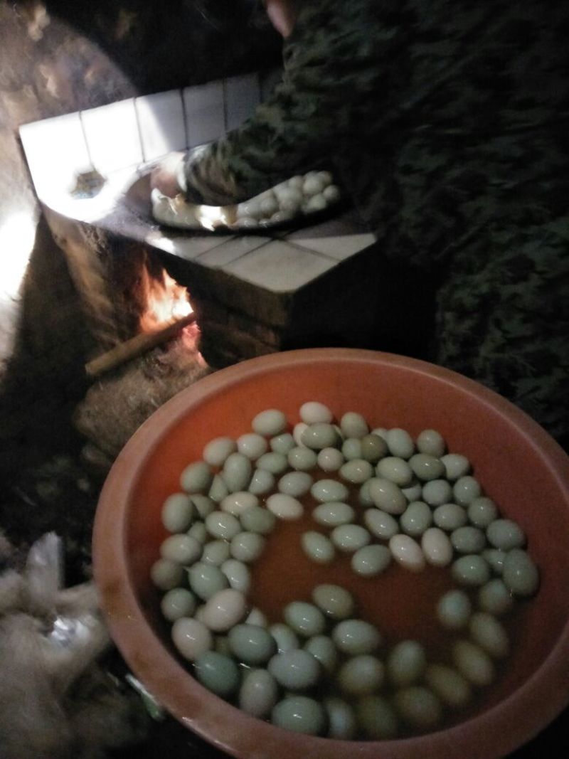 鲜鸭蛋食用