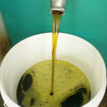 压榨菜籽油一级