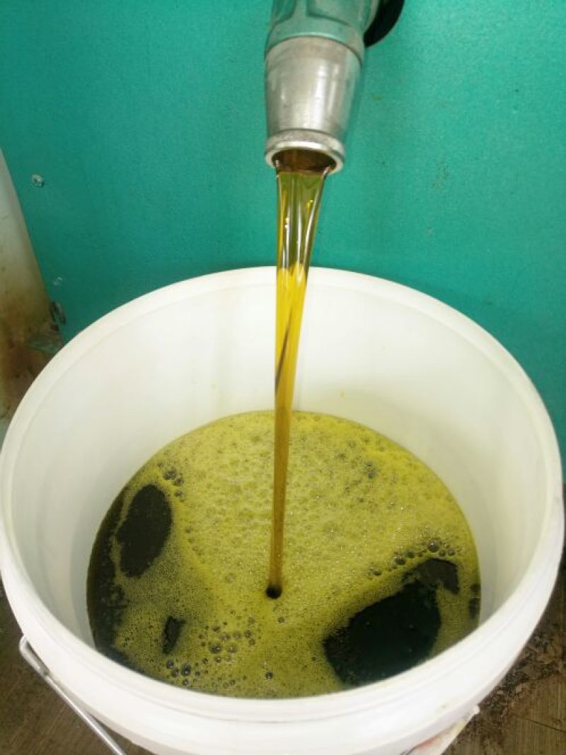 压榨菜籽油一级