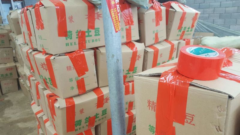 荷兰十五土豆精品2两以上