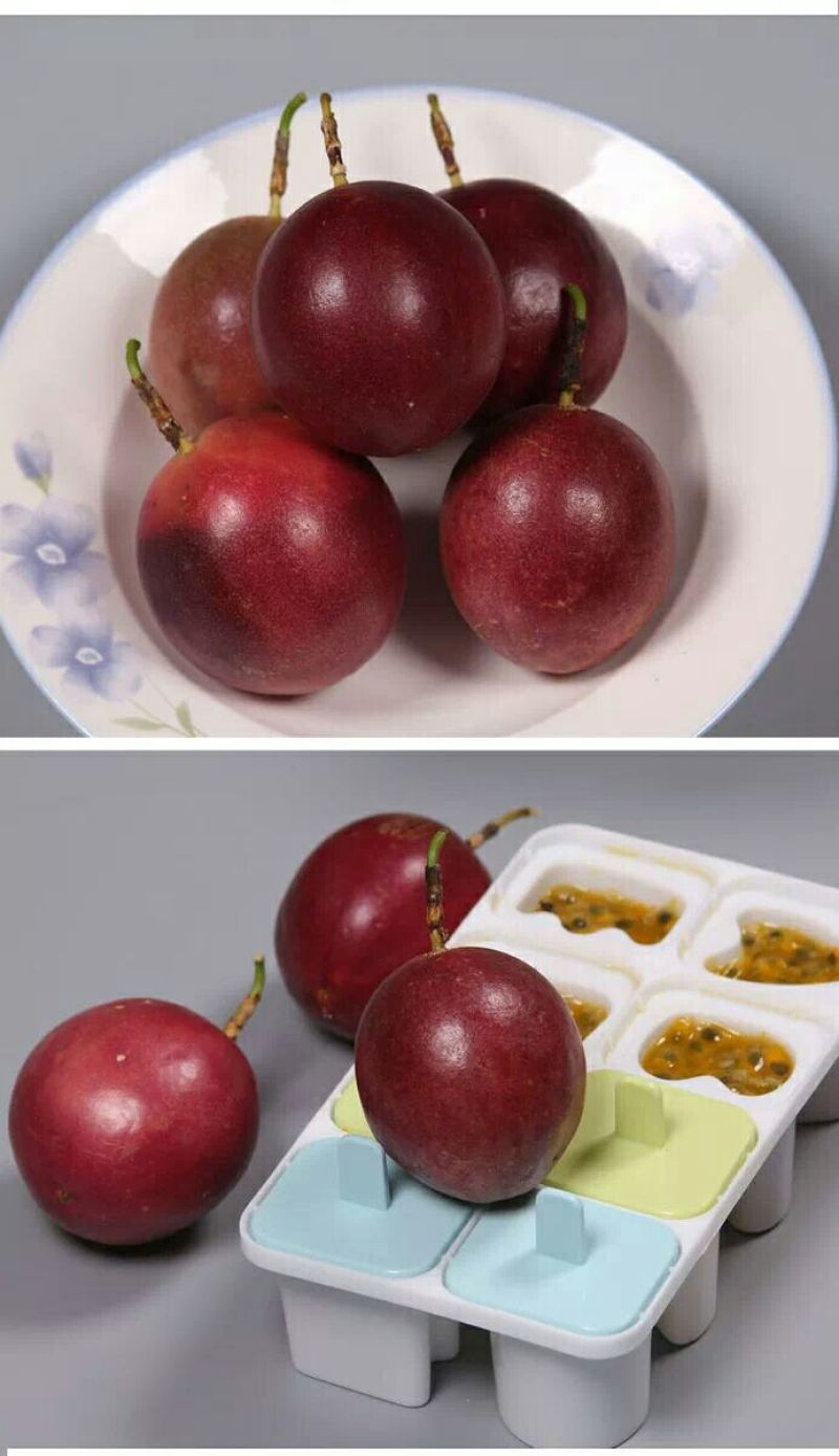 百香果苗10~20cm