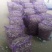 2025新蒜丰县徐州紫皮独头蒜混级统货干蒜独掰蒜
