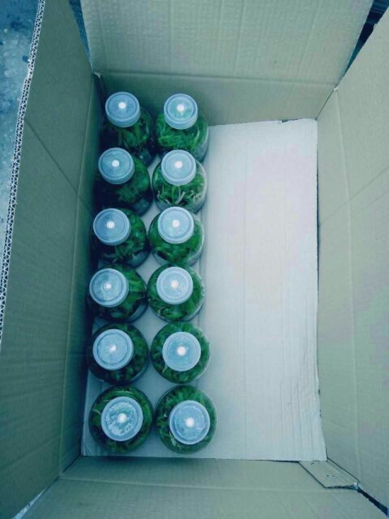 三叉白芨统货