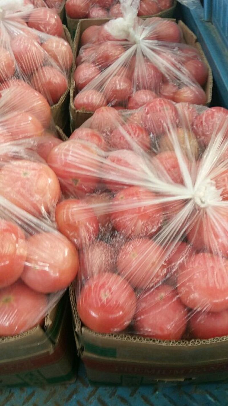 硬粉西红柿精品硬粉弧三以上