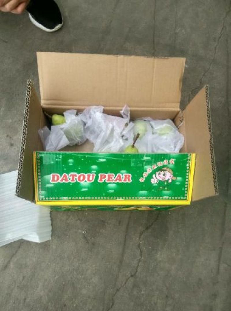 大头梨150~200g光果