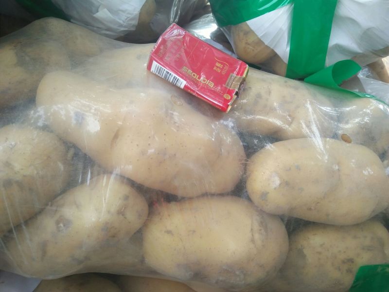 【优选】齐元丰希森荷兰十五土豆商超品质