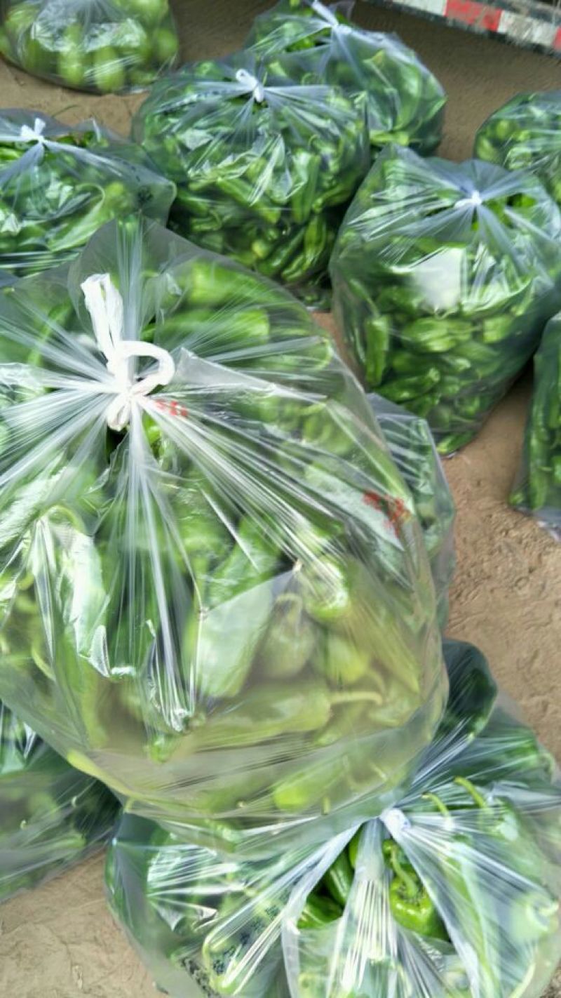 鲜辣椒15~20厘米黄中辣产地直供货源充足